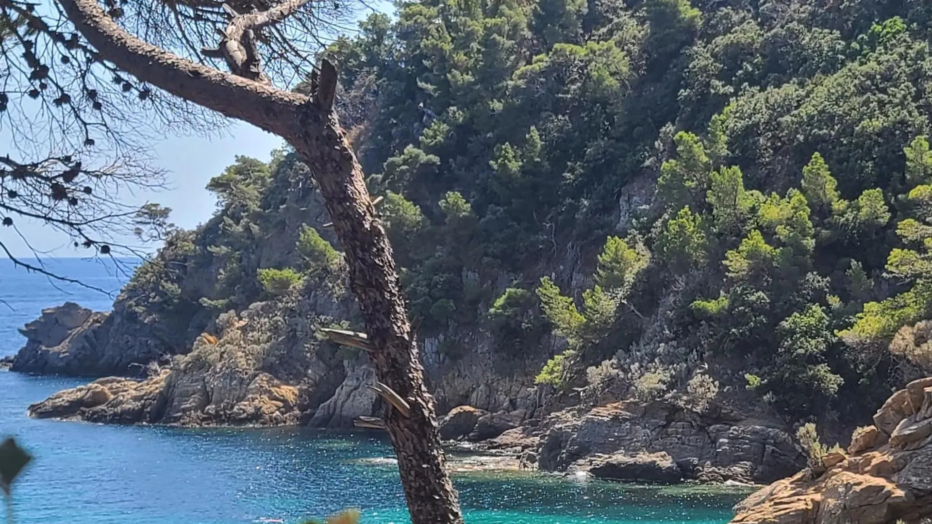 Appartement Climatise T3 Vue Mer De 63 M2 - 2 Chambres Et Belle Terrasse De 23 M2 Cavalaire-sur-Mer Frankrike
